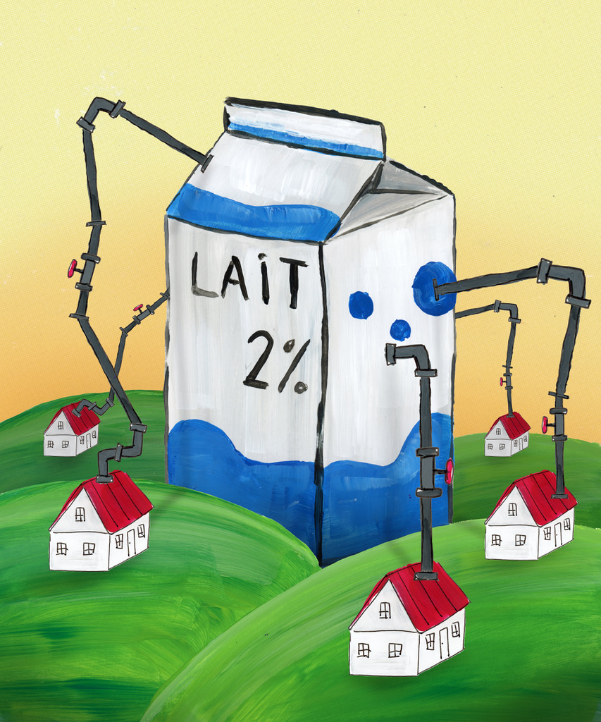 LAIT PASTEURISÉ / Ecole-B Marketing